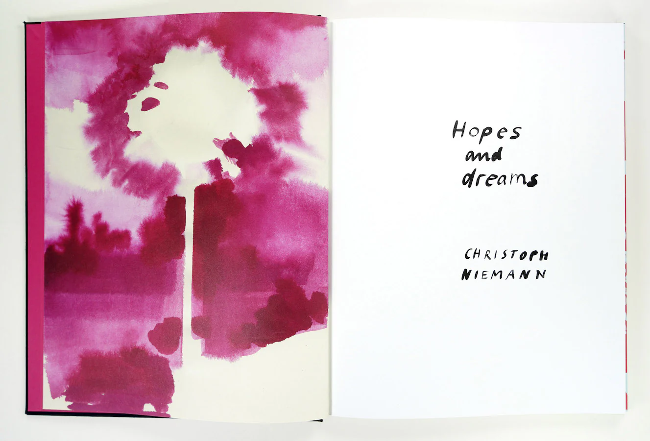 Hopes and Dreams - Image 3