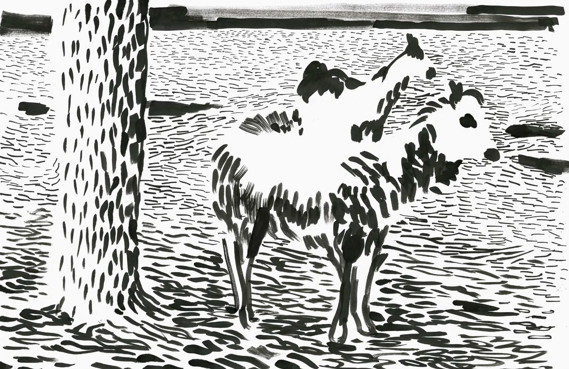 ZOO - Image 18