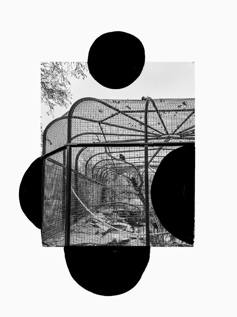 ZOO - Image 9